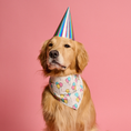 Load image into Gallery viewer, Birthday Bandana