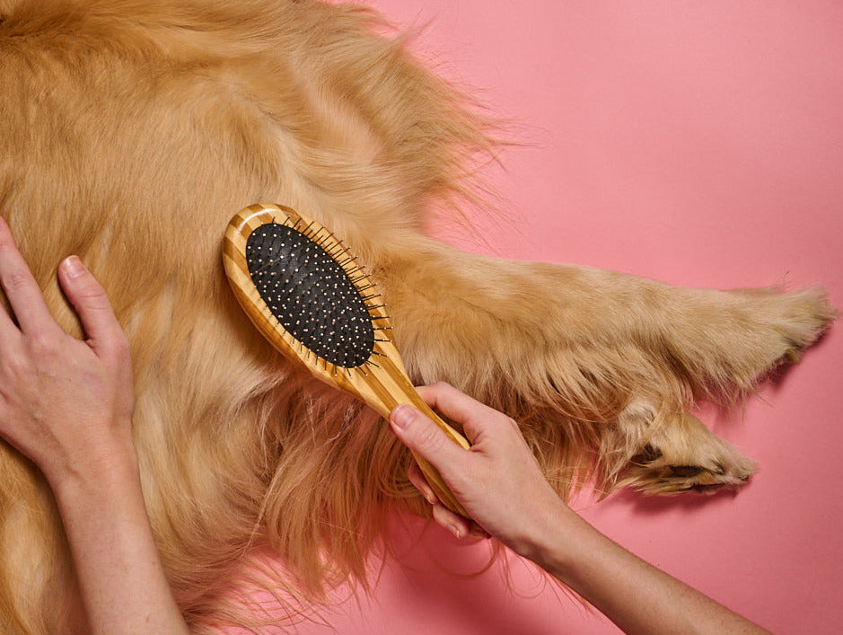 Bamboo Dog Brush