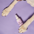 Load image into Gallery viewer, Dog Grooming Spray