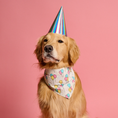 Load image into Gallery viewer, Birthday Bandana
