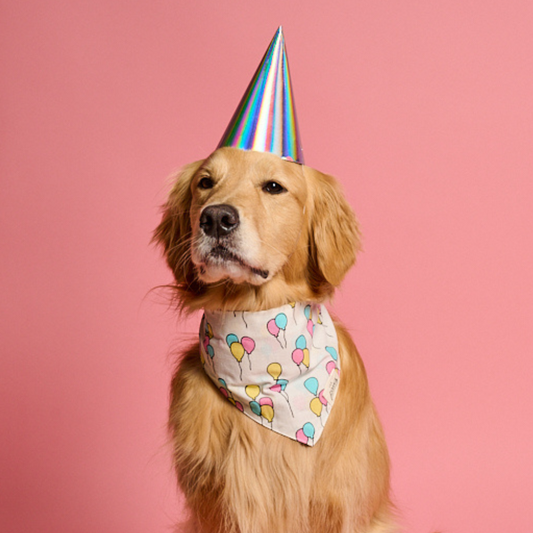 Birthday Bandana