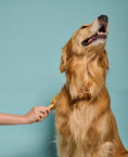 Load image into Gallery viewer, Bamboo Dog Brush
