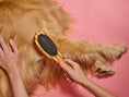 Load image into Gallery viewer, Bamboo Dog Brush
