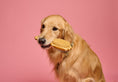 Load image into Gallery viewer, Bamboo Dog Brush
