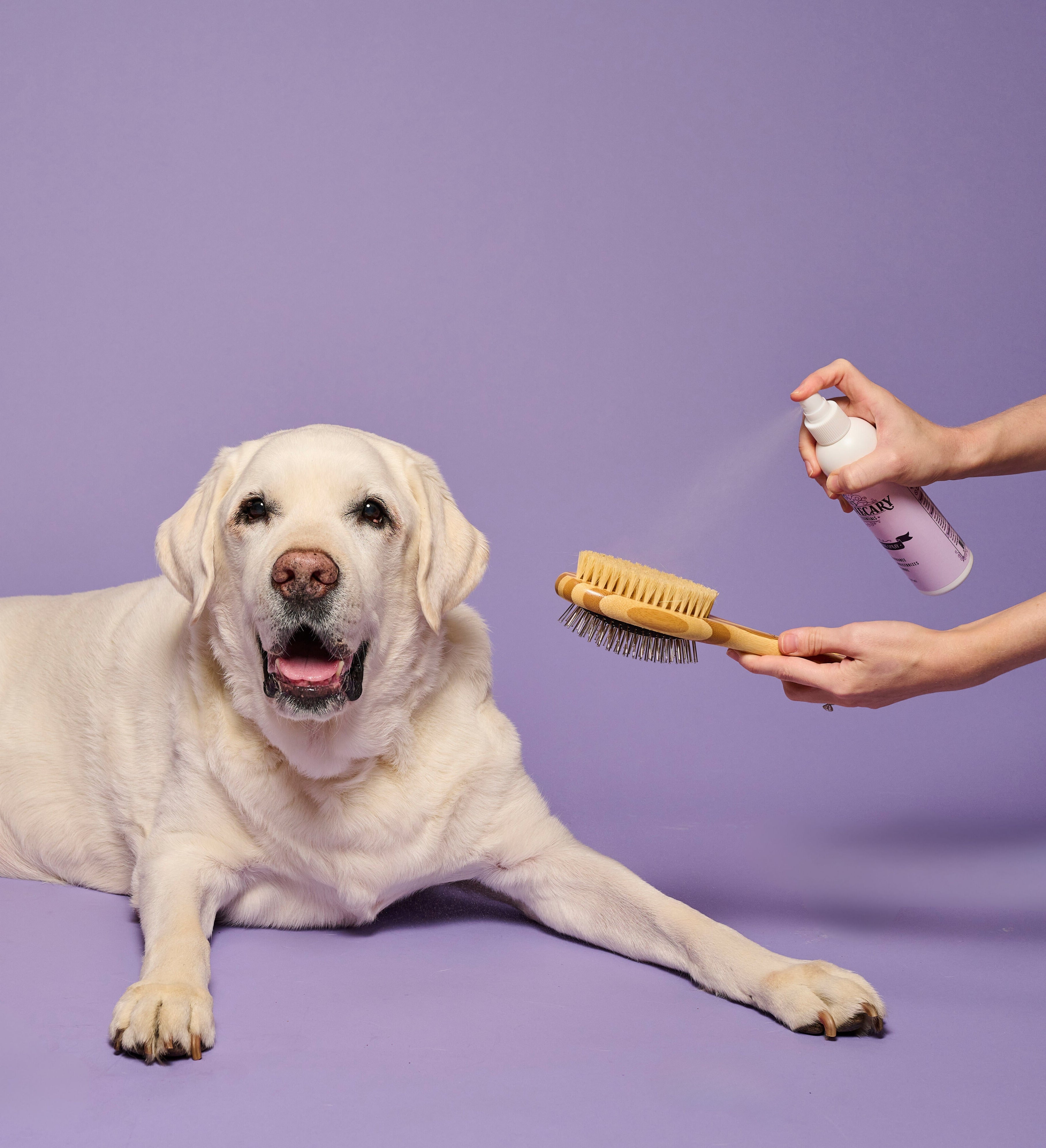 Dog Grooming Spray